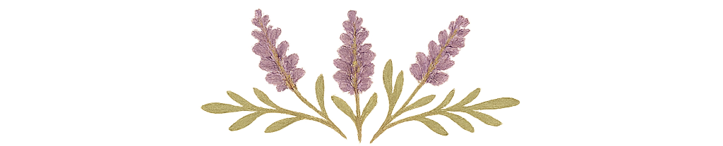 Lavender wildflower divider